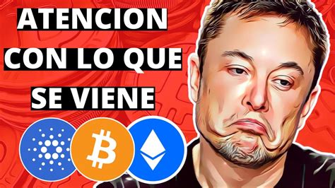 Criptonoticias HOY Cardano Seguirá Cayendo Bitcoin Ethereum