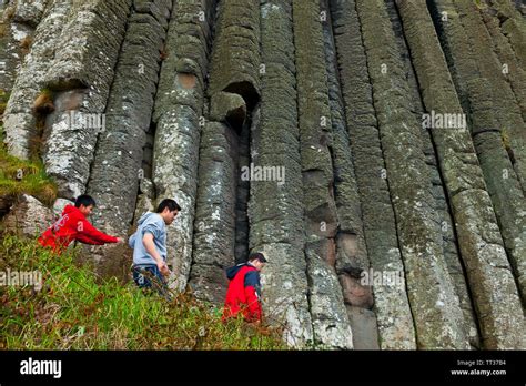 Organ Pipes Basalt Columns The Giants Causeway World Heritage Site