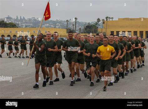 New Marines With Fox Company Nd Recruit Training Battalion Run In