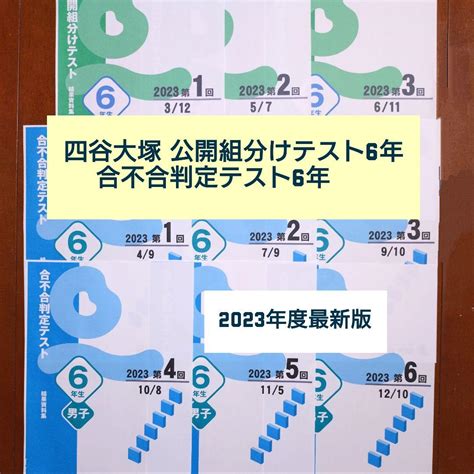 【2023年度最新版】四谷大塚公開組分けテスト6年生＋合不合判定テスト（男子） メルカリ