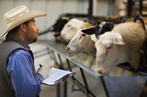 Ranch Manager Spotlight: José (Lolo) Dolores Cortez of Barinaga Ranch ...