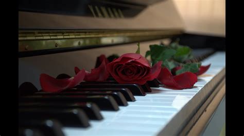 Beautiful Piano Music Soft Sounds Sweetly Played Youtube