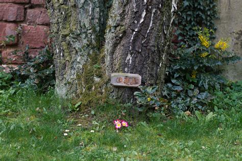 Alter Friedhof Offenbach Nordfriedhof Wiesbaden