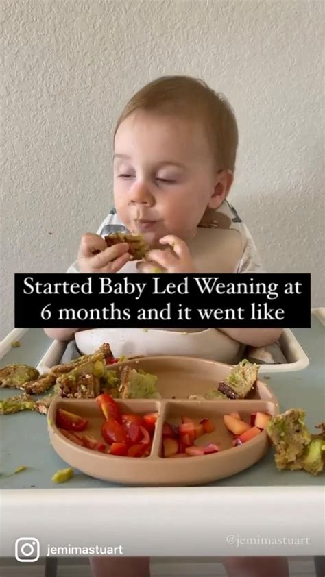 Guide to baby food stages – Artofit