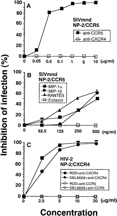 Inhibitory Effects Of Monoclonal Antibodies And Ccr5 Ligands On