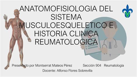 Anatomofisiología del Sistema Musculoesquelético Montserrat Mateos