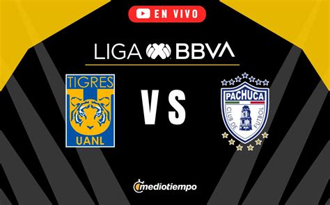 Tigres Vs Pachuca En Vivo Jornada 14 Liga Mx 2024 Mediotiempo