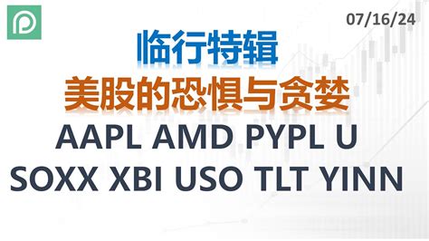 美股分析 AAPL AMD PYPL U SOXX XBI USO TLT YINN 临行特辑 美股的恐惧与贪婪 YouTube