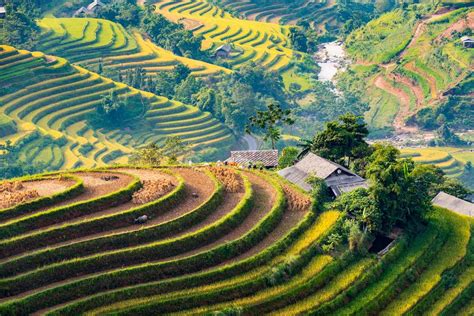 Best Ha Giang Tours Small Group Private