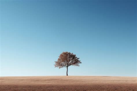 Tree Sky Outdoors Horizon Free Photo Rawpixel