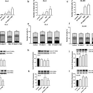 TMZ And PF 562271 Combinatorial Treatment Reduced Cell Viability In