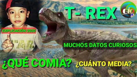 T Rex Qu A Cu Nto Media Y M S Datos Curiosos Youtube