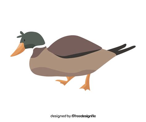 Cartoon Wild Duck Clipart Free Download