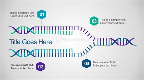 08 Dna Diagram Powerpoint Slidemodel