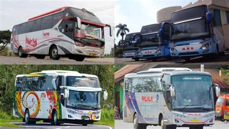 Deretan PO Bus Asal Sumatera Barat Tertua Di Indonesia Berdiri Sejak