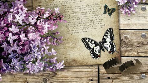 Hd Wallpaper Lilacs Butterfly Boards Vintage Old Paper Antique