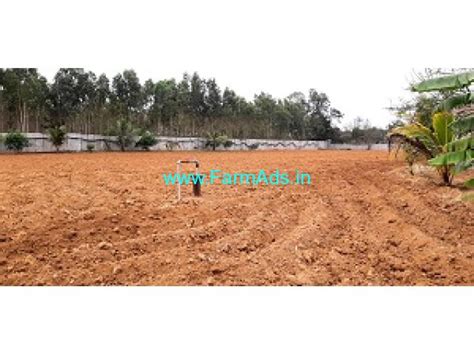 Acre Gunta Well Developed Farm Land Sale Near By Pass Kolar City