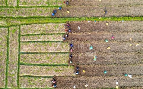 江西万载：谷雨时节农事忙 人民图片网