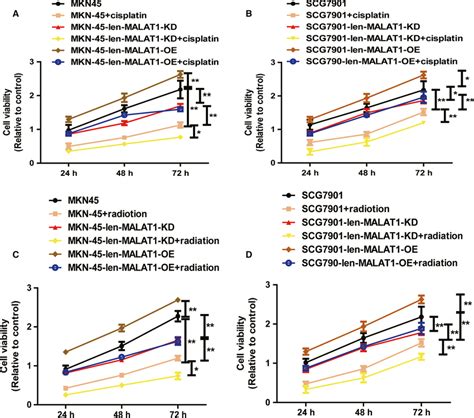 Knockdown Of MALAT1 Enhances Chemo And Radiosensitivity Of Gastric