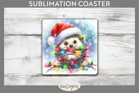 Christmas Hedgehog Entangled In Lights Square Coaster Sublim