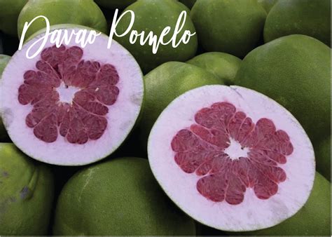 Davao Pomelo – EveGrocer