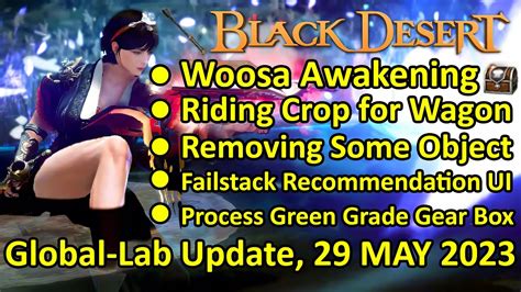 Woosa Awakening Riding Crop Buff FS Recommendation Info BDO Global