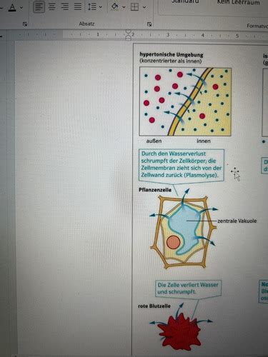 Biologie Diffusion Osmose Aktiv Passiv Transport Flashcards Quizlet