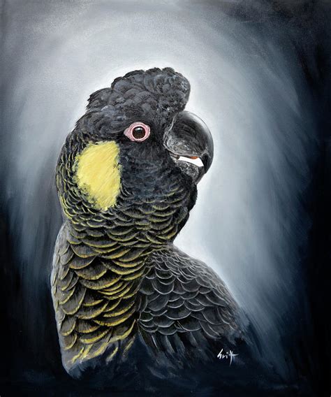 Yellow tailed Black Cockatoo Painting by Ian Griffiths