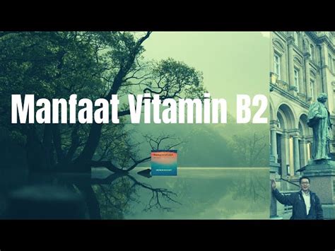 Temukan Manfaat Vitamin B Yang Jarang Diketahui Untuk Kesehatan Anda