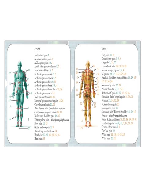 Back and Front Pressure Point Chart Free Download