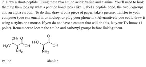 SOLVED Draw A Short Peptide Using These Two Amino Acids Valine And