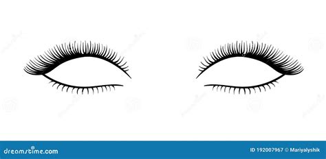 Beautiful Long Vector Black Eyelashes Illustration Isolated On White