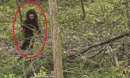 Rmso Bigfoot On Twitter Chaka Style Bigfoot Photo Circulating Again