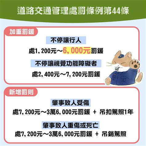 交通新制上路！開放檢舉有哪些？違規罰多少？不讓行人取締標準｜天下雜誌