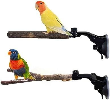 Amazon Pcs Parrot Perch Stand Natural Wood Bird Perch With