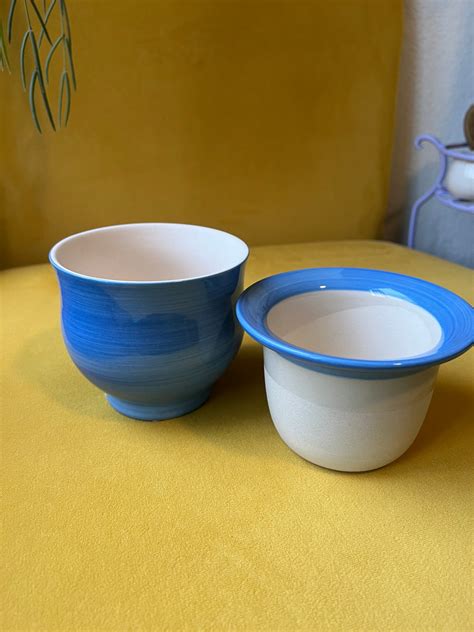 Ceramic Self Watering Planter (Blue) – Plants4Love