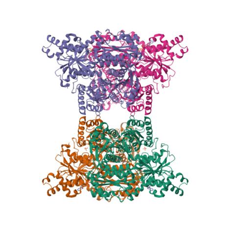 RCSB PDB 4XYJ Crystal Structure Of Human Phosphofructokinase 1 In