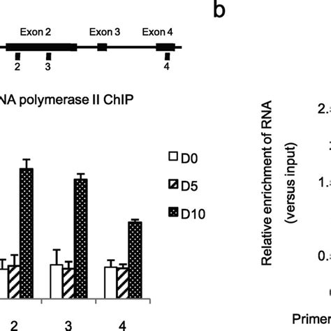 Sall4 Expression Correlates With Expression Of Epcam And Nanog In