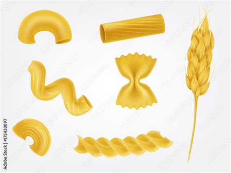 Various types and shapes pasta, noodles and macaroni with cereal ear ...