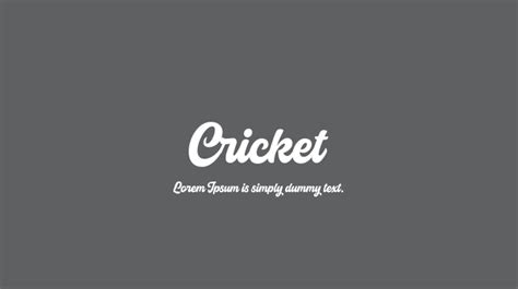 Cricket Font : Download Free for Desktop & Webfont