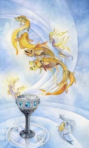 L Ace Of Cups Shadowscapes Tarot