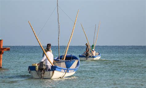 Calentamiento Global Y Prácticas Ilegales Amenazas De La Pesca En