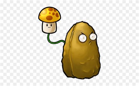 Sun Nut Plants Vs Zombies Character Creator Wiki Fandom Plants Vs