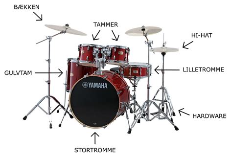 5 Best Drum Sets in 2024 → Buying Guide [& PRO Review]