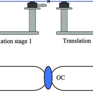 Schematic Of The Experimental Setup For Transmission Spectrum