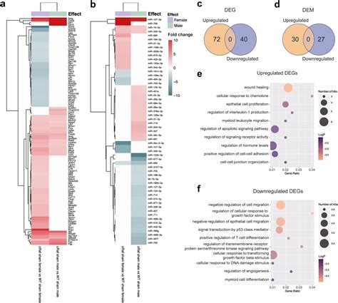 Sex Disparities In Non Small Cell Lung Cancer Mechanistic Insights