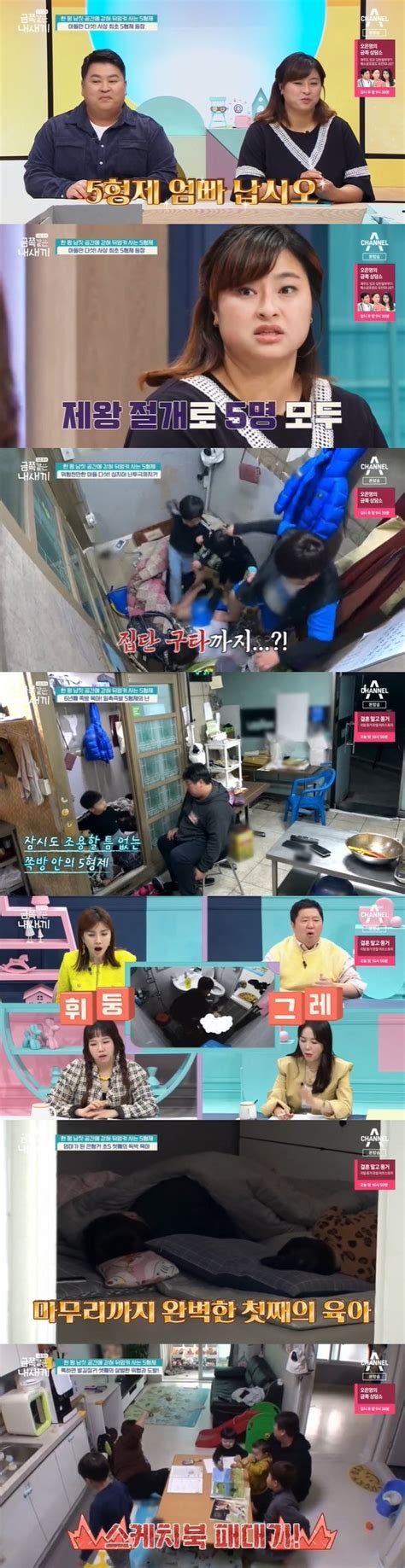 1평 쪽방서 뒤엉킨 5형제12살 첫째 독박 육아 오은영 다둥이 육아 팁 공개금쪽 어제tv 네이트 연예