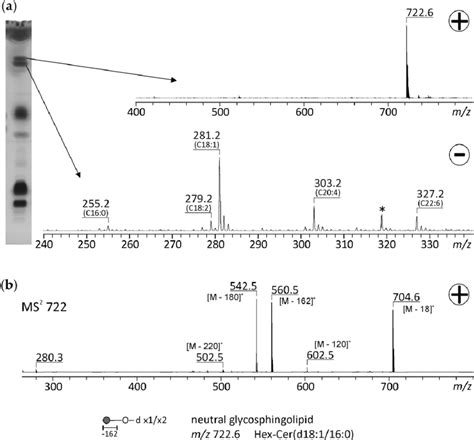 High Performance Thin Layer Chromatography Hptlc Electrospray