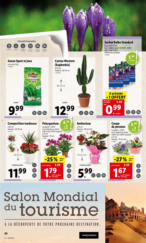 Catalogue Lidl Plantes Et Fleurs Arrivage De La Semaine Du 2 4 Et 7