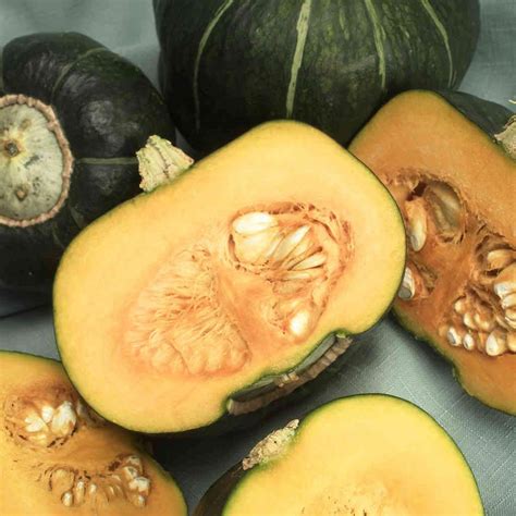 Buy Squash Buttercup Seed Online Mckenzie Seeds